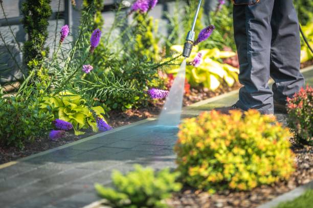 Best Pool Deck Cleaning  in Lanham, MD