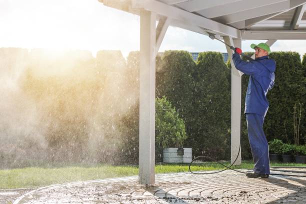 Best Sidewalk and Walkway Cleaning  in Lanham, MD